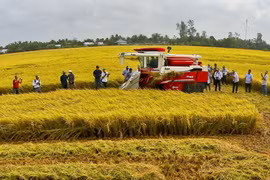 PM pushes innovative solutions to tackle climate change in Mekong Delta