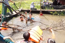 Tram Chim National Park offers authentic wetland experiences