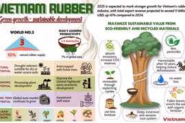 Vietnam’s rubber industry creating sustainable value from environmentally friendly material