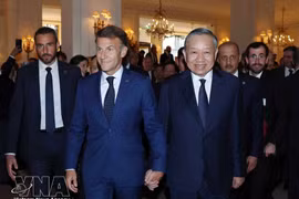 Vietnam–France relations gain fresh momentum