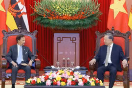 Sultan of Brunei's visit to advance comprehensive partnership with Vietnam: Party chief