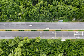 Mangrove forest road in Ho Chi Minh City 