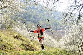 Vietnam Trail Marathon 2026 showcases breathtaking trails of Moc Chau
