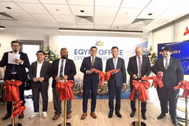 FPT expands into African market with Cairo office