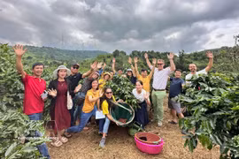 A century of Khe Sanh coffee: Red soil shapes its signature Arabica
