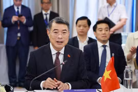 Vietnam-Japan investment ties to become co-development partnership