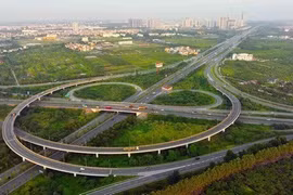 Argentina, businesses, market expansion, Vietnam