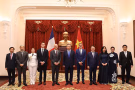 Top leader receives newly accredited ambassadors