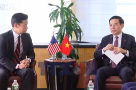 Vietnam, US continue close cooperation in war legacy remediation