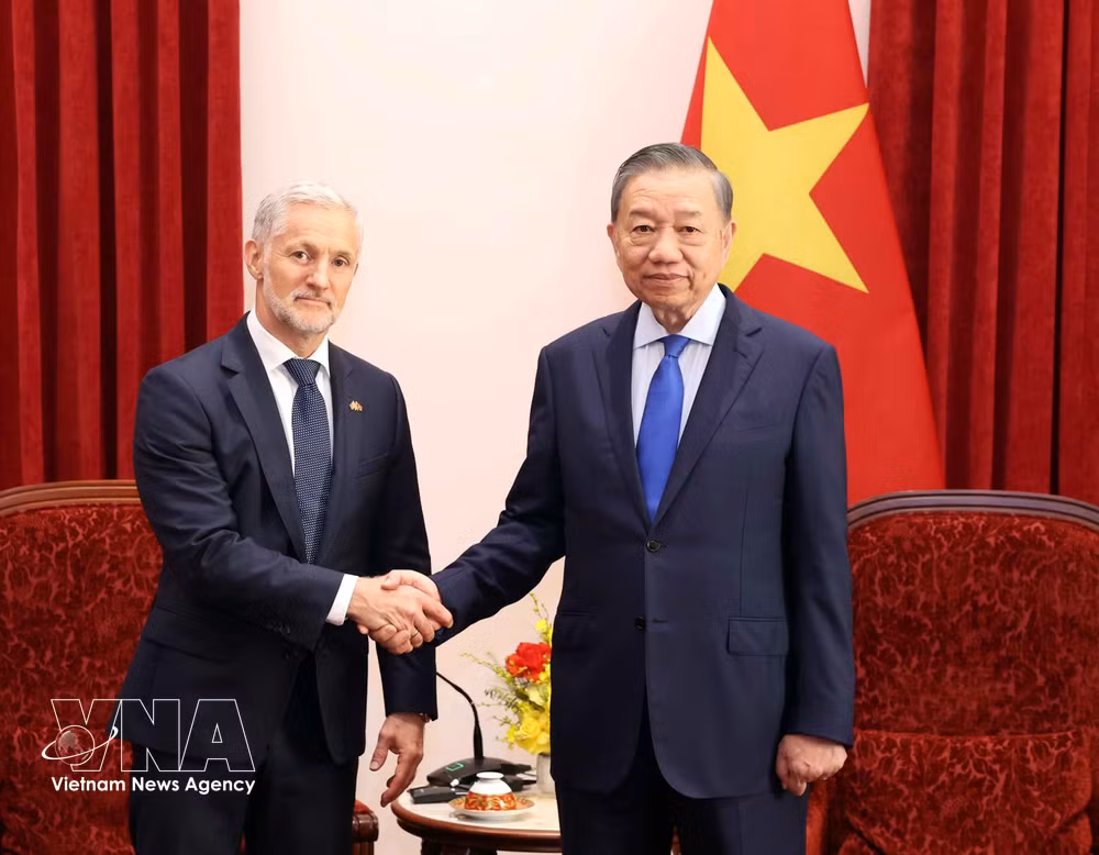 vnanet_potal-party-general-secretary-president-to-lam-ambassadors-reception-2.jpg