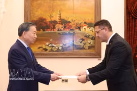 General Secretary of the Communist Party of Vietnam Central Committee and President To Lam (L) receives Palestinian Ambassador Shadi Abu Zarqa in Hanoi on October 3. (Photo; VNA)