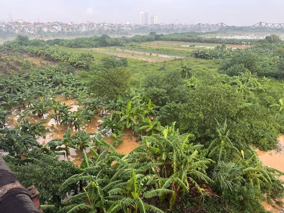Rising waters on the Red River’s mid-bank area disrupt daily life in Hanoi. (Photo: Minh Quyet – VNA)