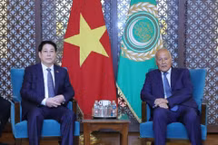 Vietnam expects more substantive, effective ties with Arab League: President