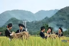 Tay people link cultural preservation with community-based tourism