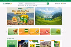 Vietnam’s OCOP brands go global with e-commerce push