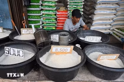 Rice sold in Jakarta, Indonesia (Illustrative photo: AFP/VNA)