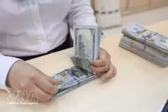 The State Bank of Vietnam set the daily reference exchange rate at 25,586 VND/USD on August 17. (Photo: VNA)
