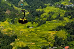 The Fansipan cable car cabin glides across Muong Hoa Valley, opening up panoramic views of its lush terraced rice fields. (Photo: Sun Group)