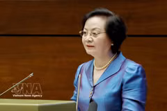 Deputy Prime Minister Pham Thi Thanh Tra speaks at the conference reviewing one year of operation of the overall organisational model of the political system and the three-tier admistration model. (Photo: VNA)