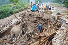 As floodwaters recede, tree branches, logs and debris blanket a road in Muong Than commune, Lai Chau province. (Photo: VNA)