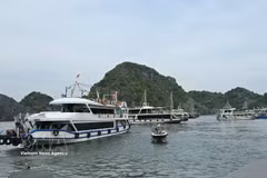 Tour boats await visitors to explore Lan Ha Bay at the Cai Beo tourist boat pier. (Photo: VNA)