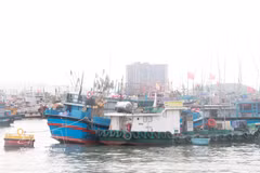 Fishing boats anchored at Hon Ro fishing port in Khanh Hoa province. (Photo: VNA)