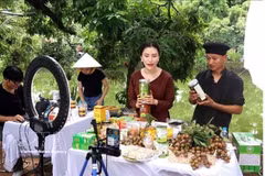 Content creators help farmers sell longan and OCOP products on TikTok. (Photo: VNA)