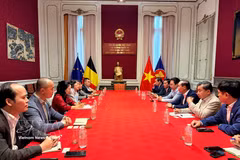 The working session between the Hue delegation and representatives from the Vietnamese Embassy in Belgium and the Association of Vietnamese Intellectuals in Belgium and Luxembourg. (Photo: VNA)