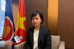 Vietnamese Consul General in Hong Kong and Macau (China) Le Duc Hanh (Photo: VNA)
