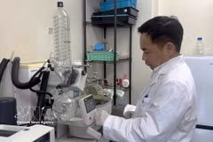 Professor Tran Dang Xuan works in his research laboratory. (Photo: VNA)