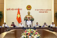 NA President Tran Thanh Man speaks at the sixth session of the National Assembly Standing Committee. (Photo: VNA)
