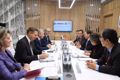 At the working session between Deputy Prime Minister Bui Thanh Son and Novatek's representatives. (Photo: VNA)