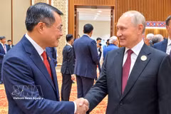 Prime Minister Le Minh Hung (L) meets with Russian President Vladimir Putin on the sidelines of the 18th BRICS Summit in New Delhi, India, on September 13. (Photo: VNA)