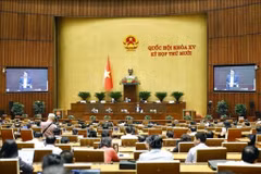 Lawmakers discuss the amended Law on Drug Prevention and Control during the 15th NA's 10th session (Photo: VNA)