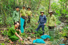 The release of endangered and rare wild animals is supervised by relevant agencies. (Photo published by VNA)