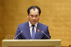 Minister of Agriculture and Environment Trinh Viet Hung presents the Government’s proposals on the amendments to the 2024 Land Law. (Photo: VNA)