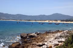 Gallery - Vietnam gains popularity among Indian tourists - image 11