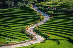 Pu Luong community-based ecotourism site in Thanh Hoa province attracts visitors during National Day holiday. (Photo: VNA)