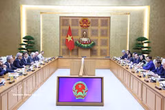 At the meeting between Deputy Prime Minister Tran Hong Ha and the European Commission's inspection delegation. (Photo: VNA)