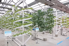 A smart crop seedling incubation model in Heilongjiang province, China (Photo: VNA) 