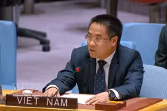 Minister Counsellor Nguyen Hai Luu, Deputy Permanent Representative of Vietnam to the UN, speaks at the high-level open debate of the United Nations Security Council (UNSC) held in New York on June 10. (Photo: VNA)