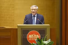 Permanent Deputy Prime Minister Nguyen Hoa Binh introduces the international financial centre's role and significance at the 15th legislature’s ongoing 9th session. (Photo: VNA)