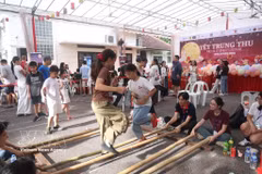 The Liaison Board of the Vietnamese Community in Singapore organises the annual Mid-Autumn Festival to strengthen community bonds and spread Vietnamese language and culture. (Photo: VNA)