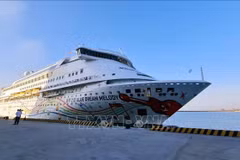 Blue Dream Melody arrives at Ha Long International Cruise Port on November 14. (Photo: VNA)