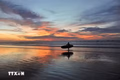 Indonesia showcases “blue economy” model, eyes wider adoption across ASEAN