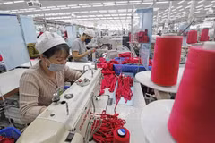 SCAVI Hue Co., Ltd. (100% invested by Financière B’Lao Group, France), specialising in garment manufacturing at Phong Dien Industrial Park in Hue. (Photo: VNA)