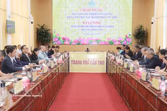 At the working session between Can Tho leaders and representatives of Singaporean businesses. (Photo: VNA)