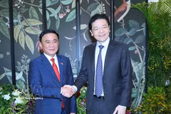 Politburo member and Standing member of the Communist Party of Vietnam Central Committee’s Secretariat Tran Cam Tu (L) meets with Secretary-General of the People’s Action Party and Prime Minister of Singapore Lawrence Wong on August 25. (Photo: VNA)
