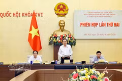 President of the National Assembly Tran Thanh Man speaks at the second meeting of the Steering Committee for the Comprehensive Review of the System of Legal Normative Documents in Hanoi on August 26. (Photo: VNA)