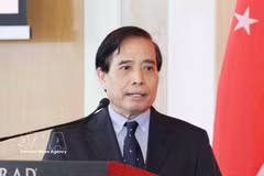 Professor Vu Minh Khuong of the National University of Singapore. (Photo: VNA)